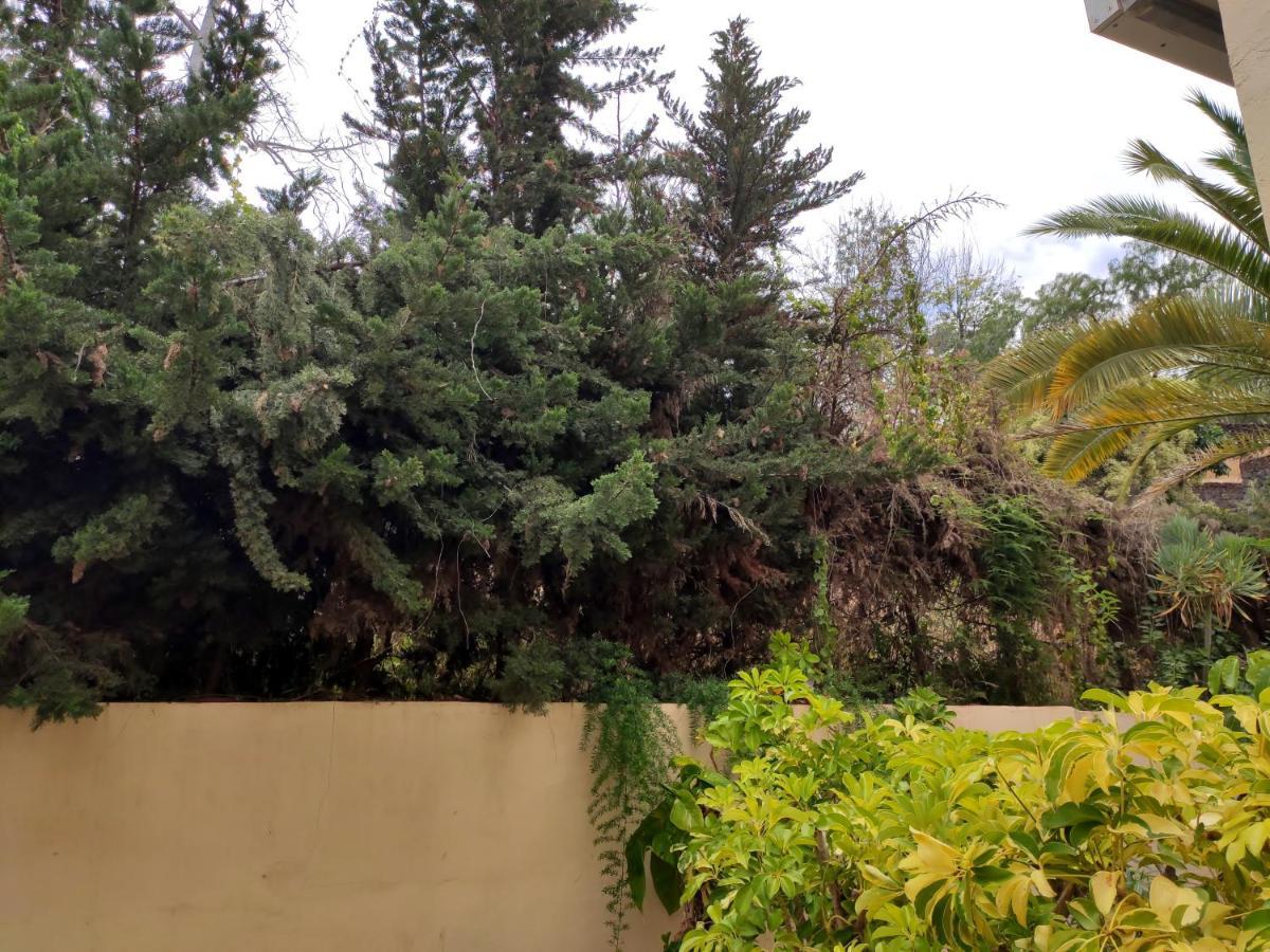 Dos Habitaciones & Prkn & Piscina Climatizada & Jardin - Casa Winslo Πουέρτο Ντε Λα Κρουζ Εξωτερικό φωτογραφία